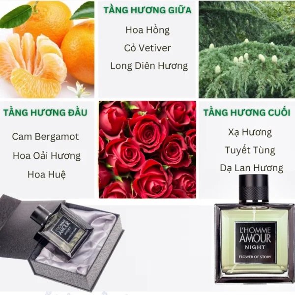 Nước hoa NAM thơm lâu quyến rũ L'HOMME Amour Night dạng xịt 100ml - Hình ảnh 6