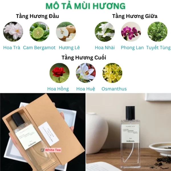 Nước hoa NAM thơm lâu quyến rũ dịu nhẹ Indexes - Hình ảnh 3